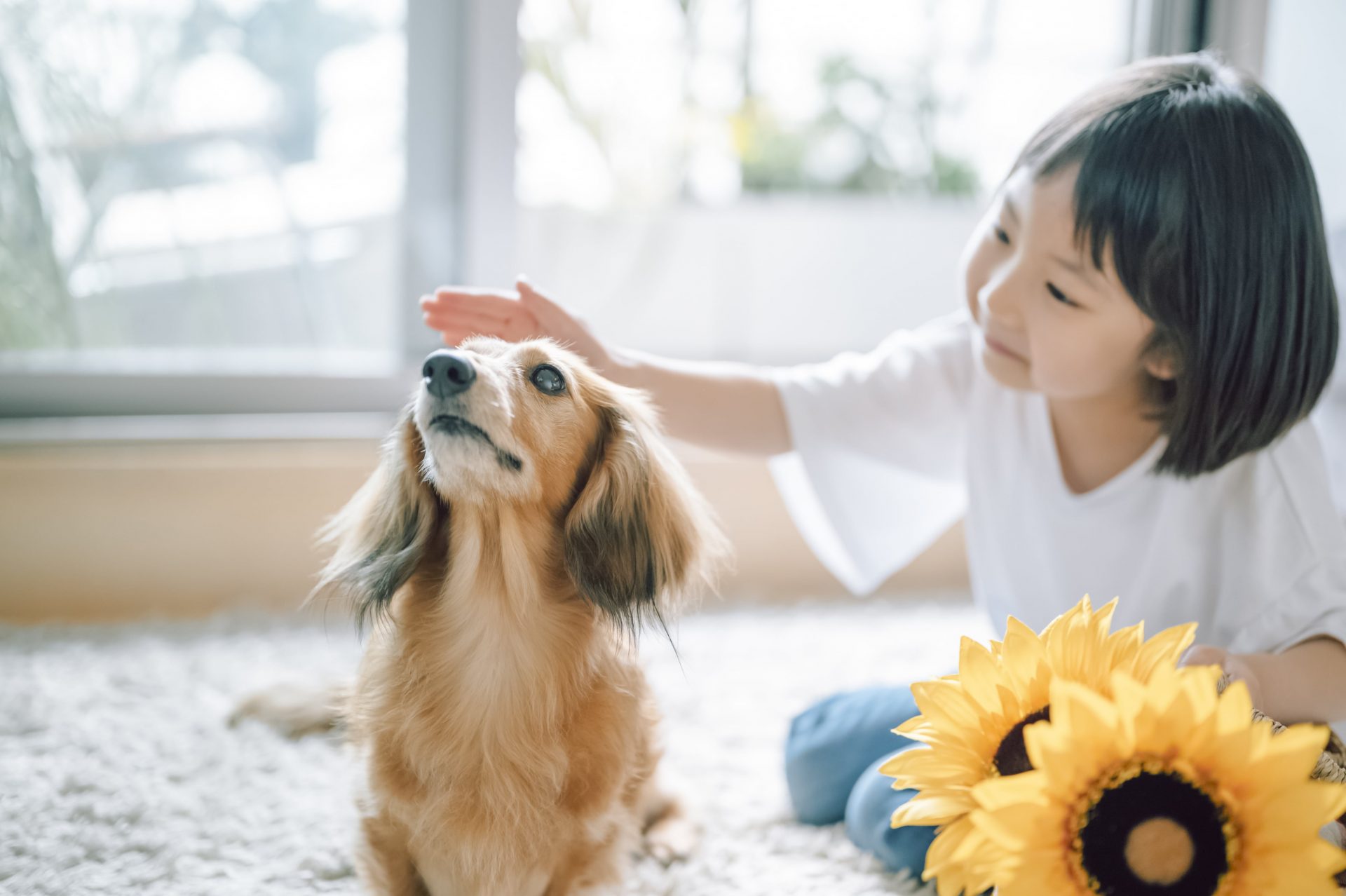最善の獣医療を提供します。
